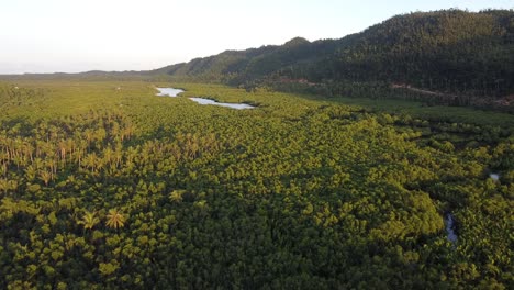 El-Río-Sinuoso-Fluye-En-El-Fondo-Del-Valle-Entre-El-Bosque-Tropical-En-La-Isla-De-Siargao,-Filipinas