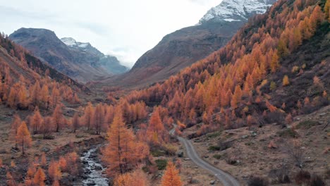 Beautiful-mountain-valley-with-fall-colored-forest,-dirt-road-and-hikers,-aerial