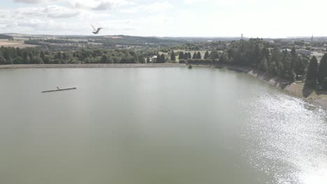 Weiße-Möwe-Im-Flug-Auf-Dem-Weg-Zur-Drohnenkamera