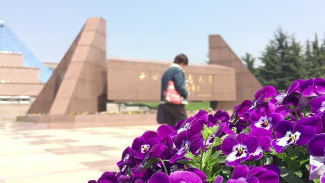 Blurred-Monument-in-Longhua-Gardens-Park-near-Martyrs-Memorial-in-Shanghai,-China-behind-viola-flowers-with-a-tourist-walking-by