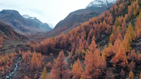 Two-people-hiking-through-scenic-autumn-forest-in-the-Italian-alps,-aerial-dolly