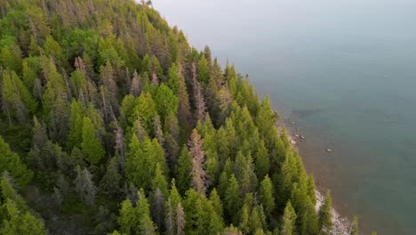 Aerial-ascent-of-forested-lake-coastline,-Michigan