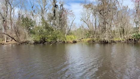 Sumpf-In-Luisiana,-Seitlicher-Blick-Auf-Das-Wasser-Und-Das-Grün
