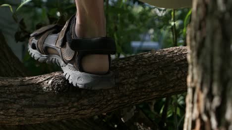 Man-climbing-tree,-hand-and-feet-branch-close-up,-playful-adult-tree-climbing