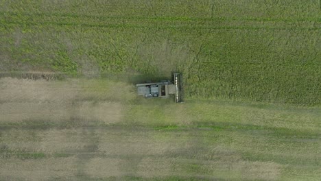 Aerial-establishing-view-of-combine-harvester-mowing-yellow-wheat,-dust-clouds-rise-behind-the-machine,-food-industry,-yellow-reap-grain-crops,-sunny-summer-day,-ascending-birdseye-drone-shot