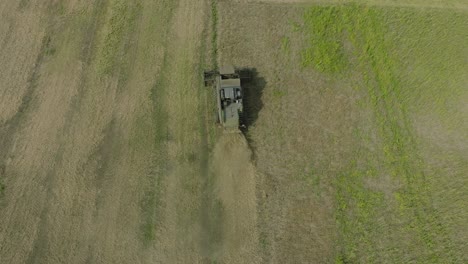 Aerial-establishing-view-of-combine-harvester-mowing-yellow-wheat,-dust-clouds-rise-behind-the-machine,-food-industry,-yellow-reap-grain-crops,-sunny-summer-day,-birdseye-drone-shot-moving-forward