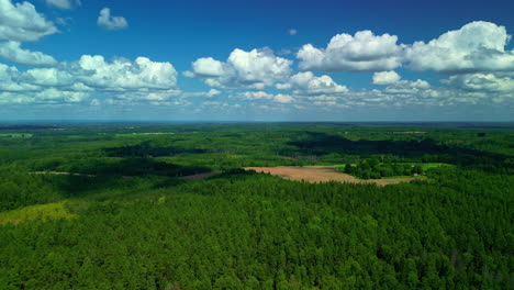 Weite-Waldlandschaft-Mit-Kumuluswolken-über-Dem-Himmel-An-Sonnigen-Tagen
