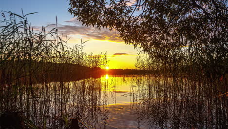 Vibrant-Sunlight-With-Reflection-Illuminated-At-Tranquil-Lake-During-Sunrise