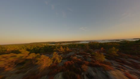 Drone-flight-through-tree-branches-and-cruising-over-a-coastal-forest-during-midsummer-sunset-in-Sweden