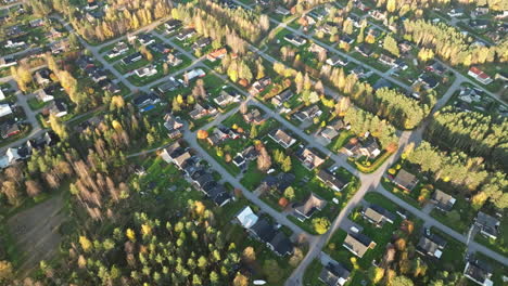 Suecia---Villas-En-Un-Hermoso-Bosque-Otoñal-De-Abetos-Y-Abedules-Y-Una-Zona-Residencial-Iluminada-Por-La-Cálida-Puesta-De-Sol---Drones-Volando-Hacia-Atrás