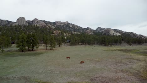 Aerial-backup-ascent-view-of-horses-in-pasture-with-lumpy-ridge-wilderness-in-background,-Estes-Park,-Colorado