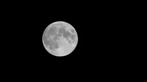 Full-moon-rising-slowly-in-dark-sky,-detailed-view