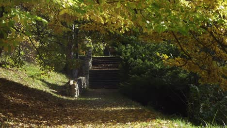 Statische-Aufnahme-Der-Parkallee-In-Chorzow,-Polen-Mit-Bäumen-Und-Fallenden-Blättern-An-Einem-Sonnigen-Herbsttag