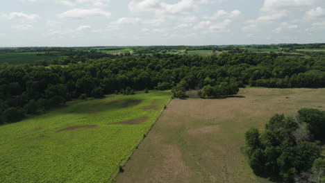 Green-Fields-And-Lush-Vegetation-In-Oronoco,-Minnesota,-USA---aerial-shot