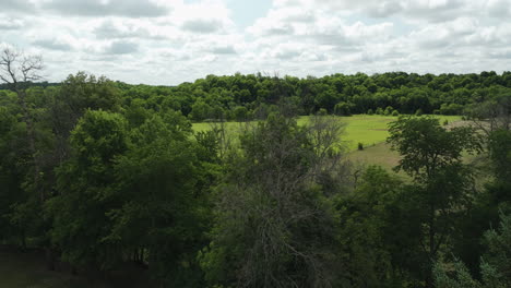 Grüne-Bäume-Und-Weite-Felder-In-Oronoco,-Minnesota,-USA---Drohnenaufnahme