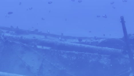 Filmische-Nahaufnahme-Einer-Dolly-Aufnahme-Aus-Einem-U-Boot-Bullauge-Eines-Fischschwarms,-Der-Um-Ein-Schiffswrack-Auf-Dem-Meeresgrund-Vor-Der-Küste-Von-Hawaii-Schwimmt