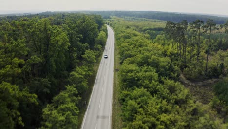 Car-passing-by-country-on-the-empty-asphalt-road-in-forest
