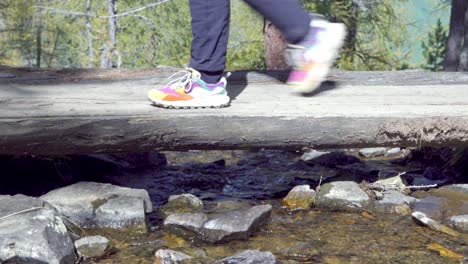 The-legs-of-two-hikers-can-be-seen-walking-over-a-wooden-footbridge-that-leads-across-a-stream