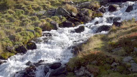 A-small-stream-flows-over-stones-on-its-natural-path-into-the-valley-in-South-Tyrol,-Italy