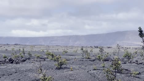 Cinematic-long-lens-panning-shot-of-the-sparse-landscape-at-the-edge-of-the-caldera-of-the-volcano-Kilauea-in-Hawai'i-Volcanoes-National-Park