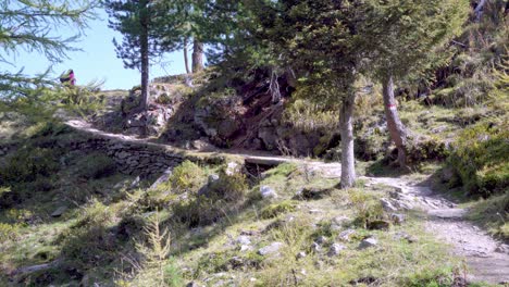 Wanderer-Wandern-Auf-Dem-Wanderweg-Vom-Fischersee-Zur-Fiechteralm,-Einem-Bekannten-Und-Beliebten-Wanderweg-Im-Ultental,-Südtirol,-Italien