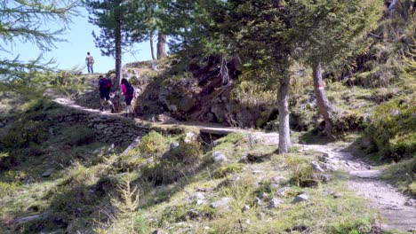 Los-Excursionistas-Caminan-Por-La-Ruta-De-Senderismo-Desde-El-Lago-Fischersee-Hasta-La-Cabaña-Alpina-Fiechteralm,-Una-Ruta-Muy-Conocida-Y-Popular-En-Ultental---Val-D&#39;ultimo,-Tirol-Del-Sur,-Italia