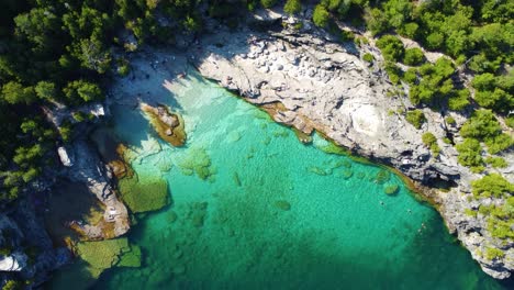 Aerial-topdown-view-of-stunning-freshwater-cove-with-turquoise-water