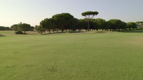 Golf-course-fairway-soil-and-grass