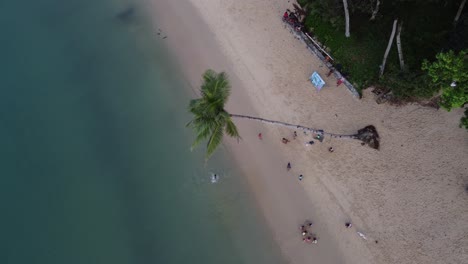 Kinder-Spielen-Mit-Einer-Palmenseilschaukel-Am-Itaytay-Strand-Von-Port-Barton,-Luftaufnahme