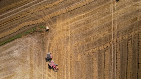 Aerial-view-of-a-tractor-harvesting-crops-in-a-field-with-distinct-tire-tracks