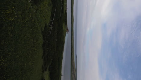 Vertikale-Luftaufnahmen-Des-Blauen-Himmels-über-Der-Küste-Mit-Gras-Und-Vegetation