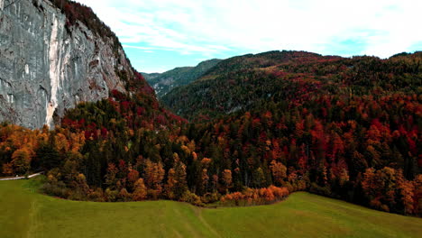 Aerial-view-rising-over-a-field-and-fall-colored-forest-in-the-mountains-in-Austria