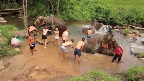 Europäische-Touristen-Baden-Und-Bespritzen-Elefanten-Mit-Bachwasser-Im-Schutzgebiet