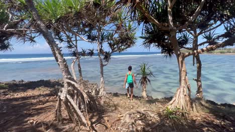 Hidden-Gem-of-Nusa-Dharma:-4K-Footage-Showcasing-Bali's-Enchanting-Beachfront-with-Hala-Trees