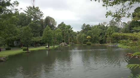 Hermoso-Y-Sereno-Estanque-De-Patos-En-Un-Jardín-En-Sibolangit-Berastagi,-Sumatra-Del-Norte,-Indonesia