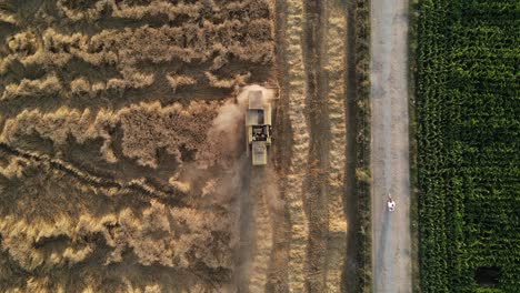 Weizenfeld,-Eine-Erntemaschine,-Die-Im-Sommer-Weizen-Auf-Einem-Feld-Erntet,-Blick-Auf-Ein-Landwirtschaftliches-Feld-In-Pakistan