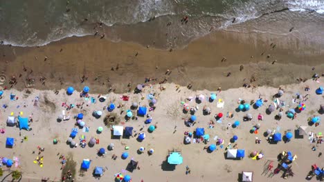 Down-facing-drone-view-of-people-sun-bathing-on-California-beach