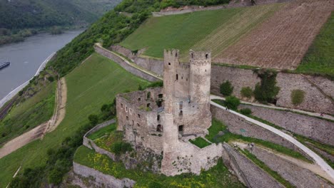 Ruinas-Del-Castillo-De-Burg-Ehrenfels-En-Medio-De-Viñedos-En-La-Ladera-Del-Valle-Medio-Del-Rin