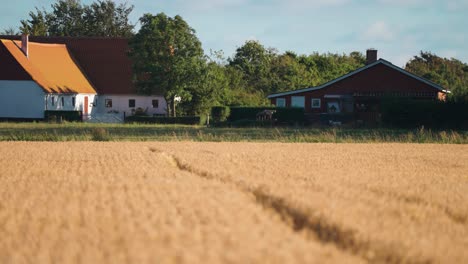Una-Granja-En-Dinamarca-Rural