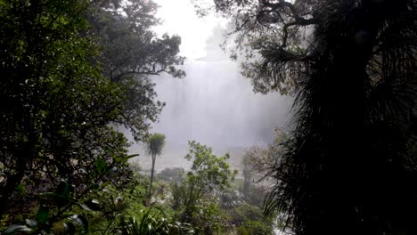 Wunderschöne-Landschaft-Mit-Nebliger-Gischt-An-Einem-Windigen,-Stürmischen-Tag-An-Den-Whangarei-Wasserfällen-In-Neuseeland,-Aotearoa