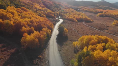 Aerial-pullback-of-road-and-golden-aspen-trees-on-Guardsman-Pass-Utah,-USA