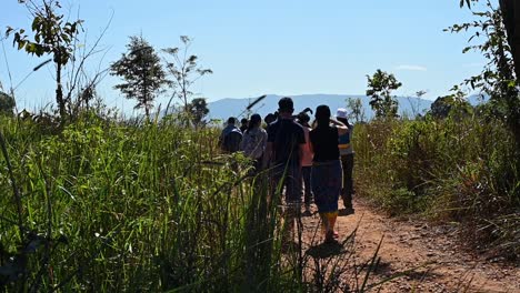 Silhouette-Von-Menschen,-Die-Auf-Einem-Pfad-Wandern,-Während-Sie-Eine-Weile-Anhielten,-Um-Etwas-Zu-Untersuchen,-Nationalpark-Khao-Yai,-Thailand