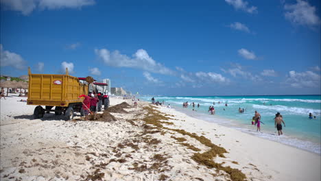 Group-of-volunteers-government-employees-cleaning-up-the-sargasso-accumulated-at-a-beach-in-Cancun-Mexico-with-tourist-bathing-in-the-sea