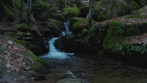 Avance-En-Cámara-Súper-Lenta-De-Una-Cuenca-De-Agua-Y-Una-Cascada-De-Arroyo-En-El-Fondo