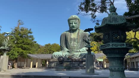Still-shot-of-Great-Buddha-at-Kotokuin-Temple-in-Kamakura,-Japan