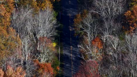 A-top-down-aerial-view-over-a-quiet-country-road-with-colorful-trees-on-both-sides-on-a-sunny-day-in-autumn