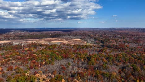 An-aerial-view-high-up-over-colorful,-dry-trees-on-a-sunny-day-in-New-Jersey
