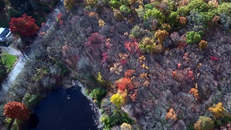 An-aerial-top-down-view-high-up-over-colorful-trees-and-a-lake-by-an-empty-road-on-a-sunny-day-in-New-Jersey