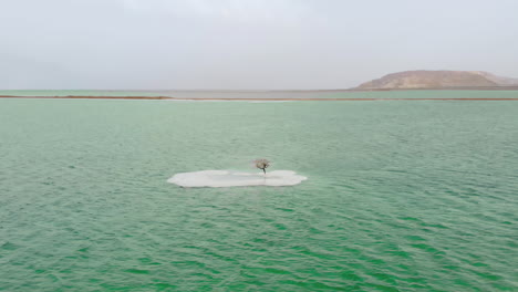 Salt-Island-with-a-dry-tree-on-it-in-the-southern-area-of-the-Dead-Sea,-Israel