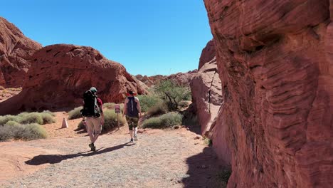 Arenisca-Roja-Vibrante-Y-Gente-Caminando-Por-Senderos-En-El-Parque-Estatal-Valle-Del-Fuego-En-El-Desierto-De-Mohave,-Nevada